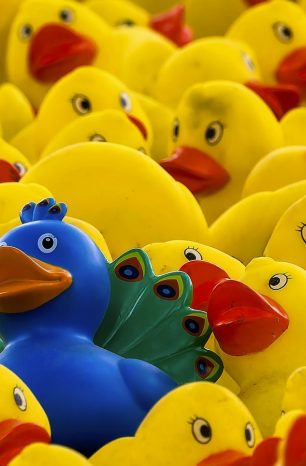 Criatividade: A coragem de pensar diferente