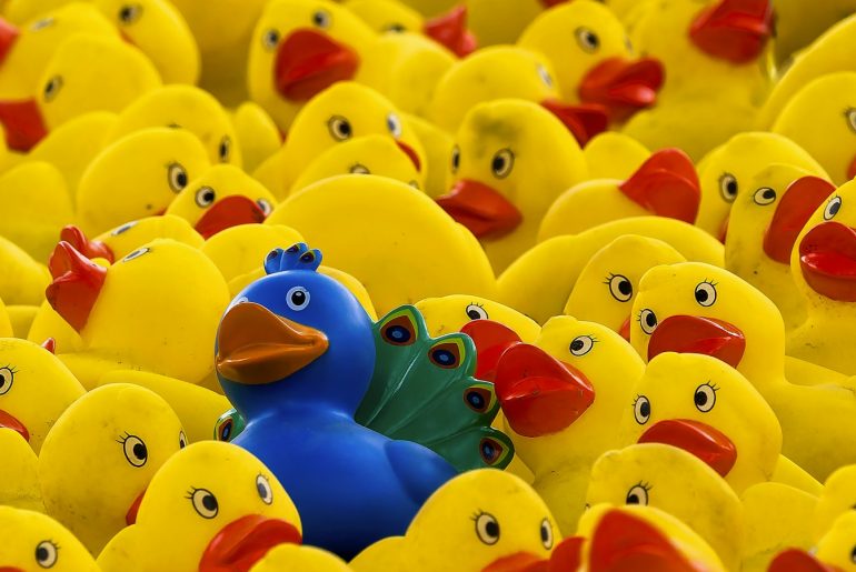 Um pato de borracha azul destaca-se no meio de muitos patos amarelos